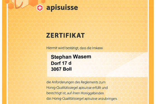 Zertifikat Goldsiegel 2025.jpg