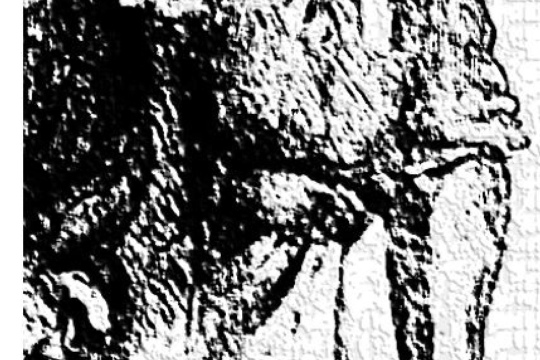 0ec0d7cfabef761edfdc63c670993108.jpg