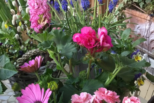 IMG_3208.jpeg