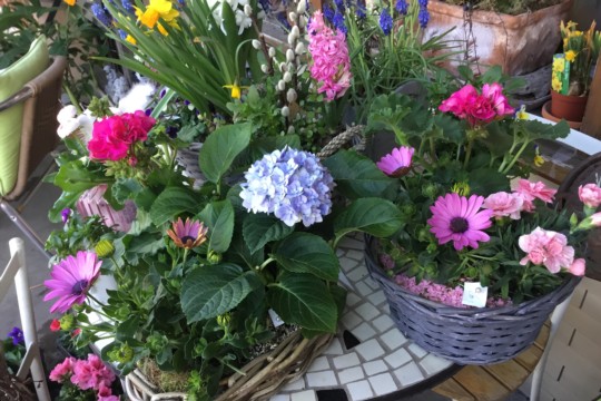 IMG_3214.jpeg