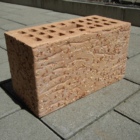 Profil Bild