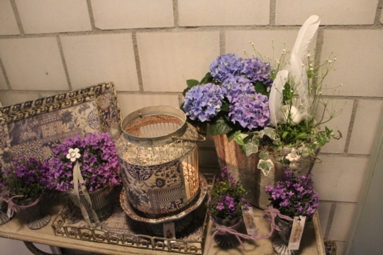 0fe123b0cfb8749cae395e2f18fdb515.jpg