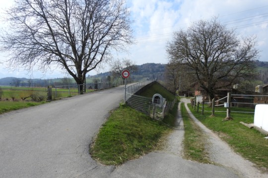 DSCN5625