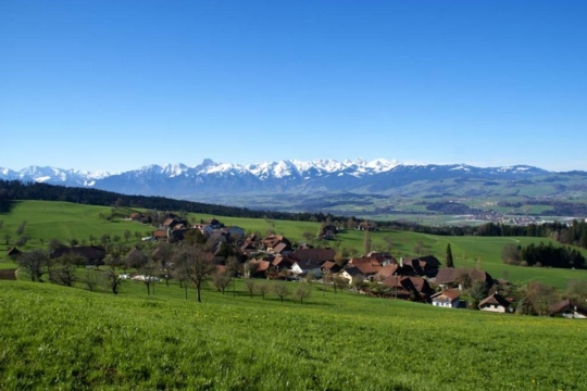 10fcb82eac337cb6a60b8d086937bb3a.jpg