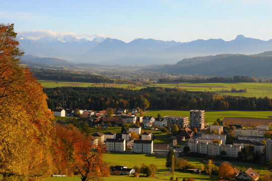 Bild Zwei Gemeinden stimmen f&uuml;r SRG-Initiative