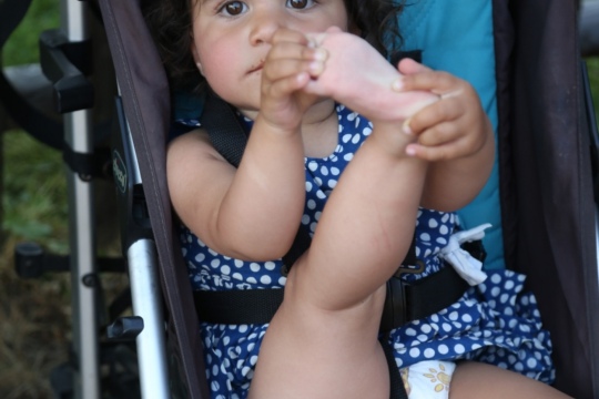 113141afbb069229bcb27371d900a10e.jpg