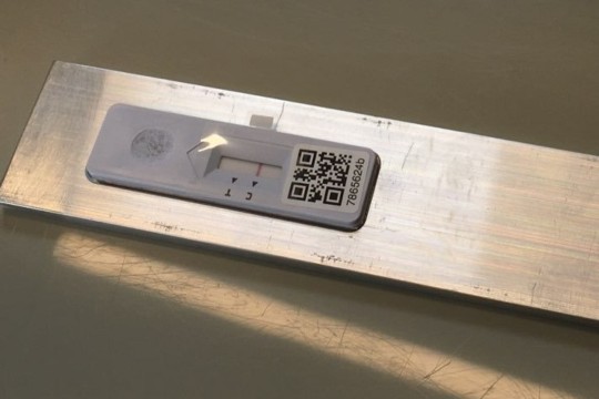 Teststreifen