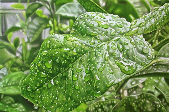 Aquarell_13.jpg
