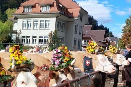 Bild &laquo;Alle Jahre wieder H&uuml;hnerhaut&raquo;