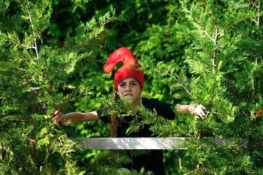 Bild Ein Tanzspaziergang f&uuml;r alle in Utzigen