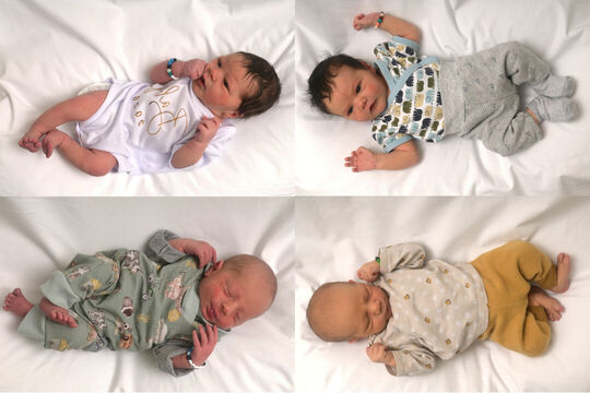 Bild Vier Neugeborene in der Region