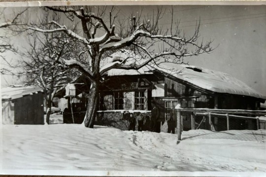 Emmi Heimetli