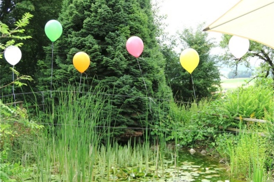 13a63caa18c3543ab15936512750d39c.jpg