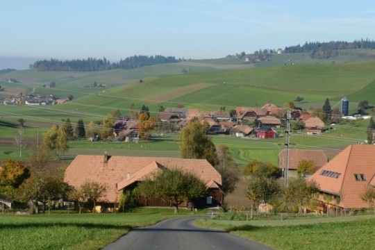 image_000000