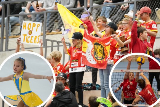 Sport am Wochenende-High-Quality