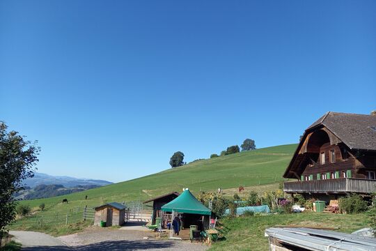20260912_100837.jpg