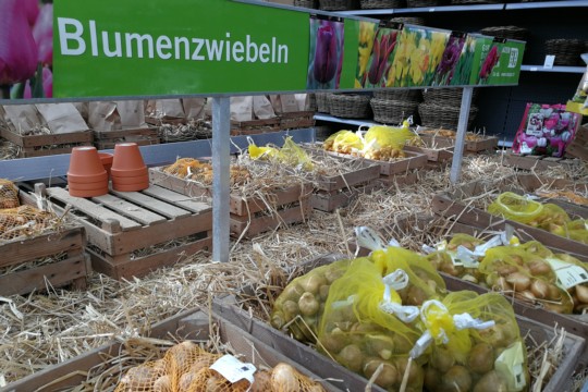 IMG_20190911_103012