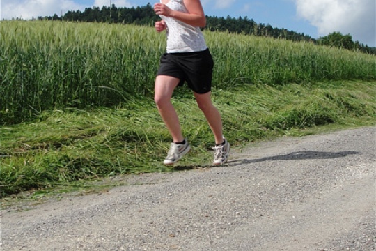 1609192fc94d69fb79de2fd8c8d98b43.jpg