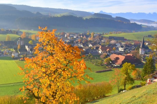 Zäziwil Herbst_zaeziwil.ch