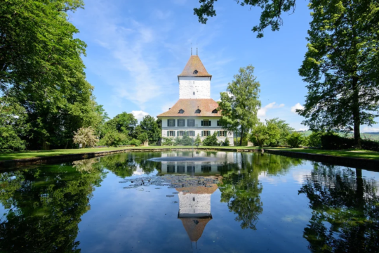 Schloss Wyl 3