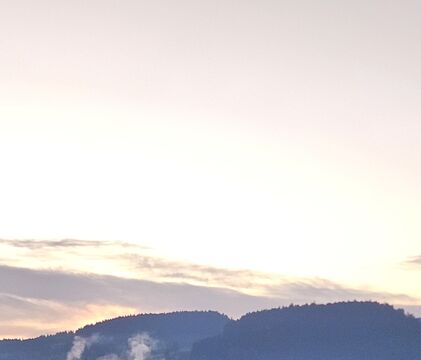 20260411_063207.jpg