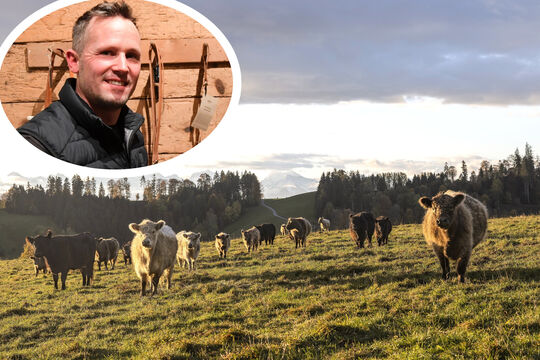 Bild «Wir verkaufen vom Fleisch bis zum Fell alles»