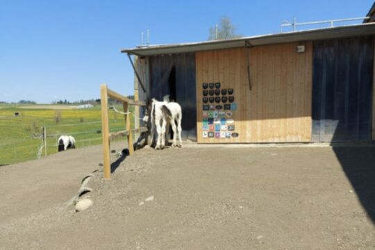 Screenshot_20240623_122056_Samsung Internet.jpg