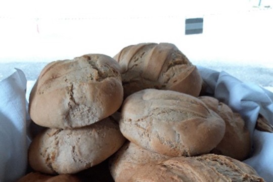 Bild8