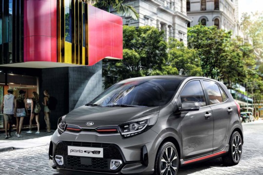 Picanto_NEW-1.jpg
