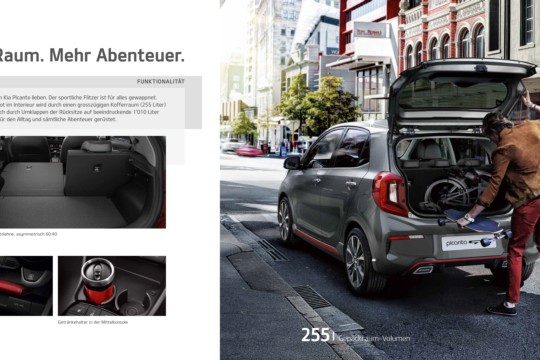 Picanto_NEW-1.jpg