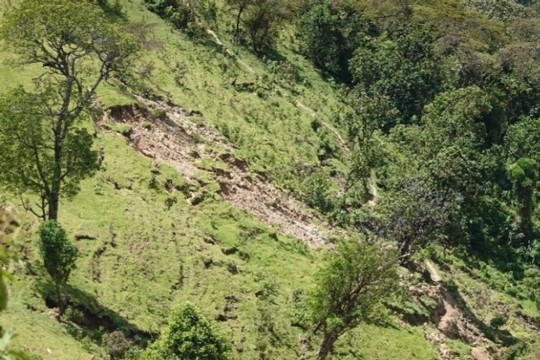 Murgänge-am-Mount-Mtelo-Kenia.jpg