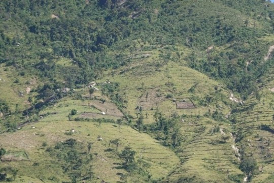 Saving-Forest-Mount-Mtelo-Kenia.jpg