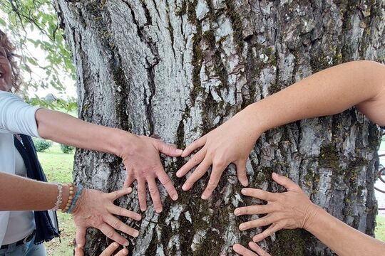 Teacher Gruppenbild Haende Okt 2023.jpg