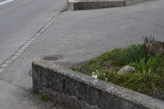 bild11
