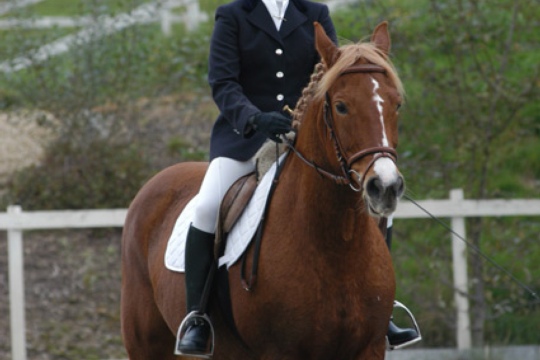 1919e7dbcd94f7637d377455bd24f3bb.jpg