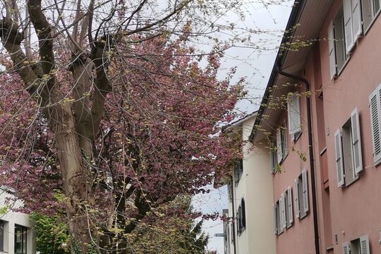 IMG_20210429_161635.jpg