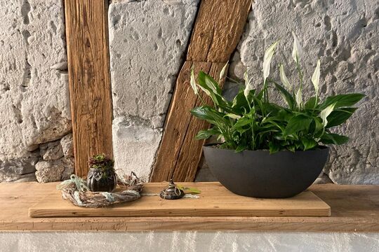 WhatsApp Bild 2025-04-24 um 10.20.08_9cb82c53.jpg