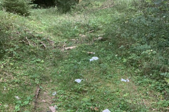 bild3