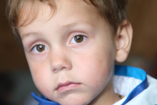1a24b90a862060f414a551afe9cbd7c4.jpg