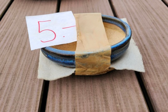 IMG20250110100408.jpg