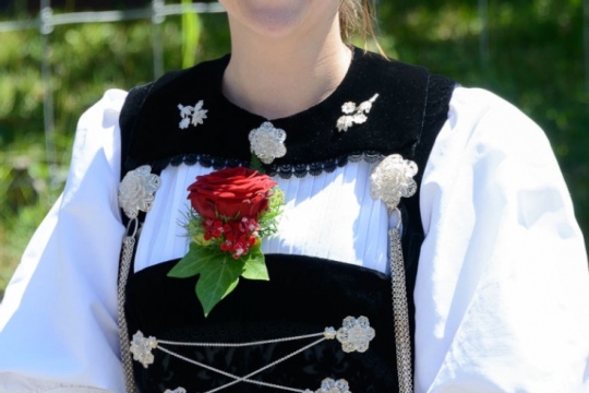 1bdca9ab6a0c32461f2f69be3027291d.jpg