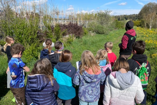 Wildhecke pflanzen mit regionaler Schule