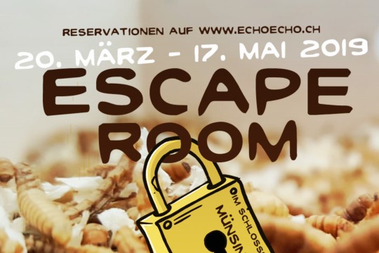 EscapeRoomInsta.jpg
