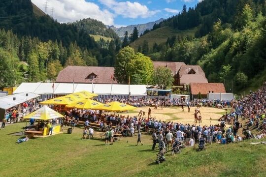 Bild Ein Schlussgang und zehn Zweige am ruhigen Wochenende