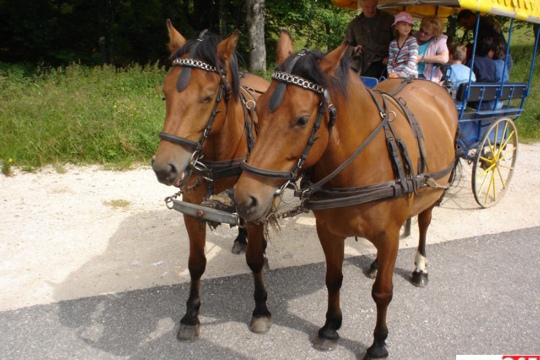 1d341ab5ef4e22d78abb9cbf59d3f268.jpg