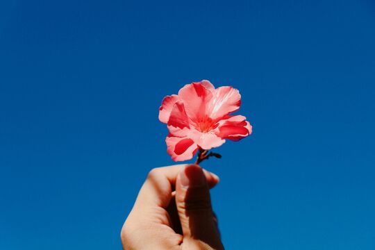 frank-ching-G9rCBHtt-ns-unsplash.jpg