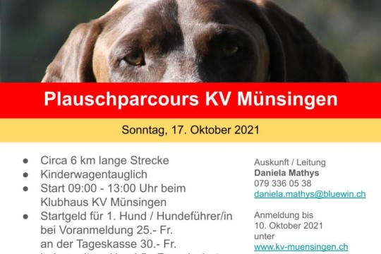 kvm-flyer-Plauschparcours 2021.jpg