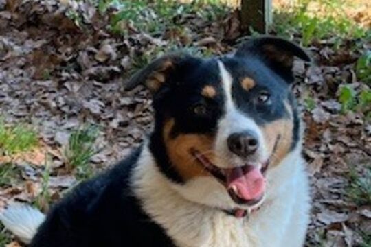 07.04.26   Sina.jpeg