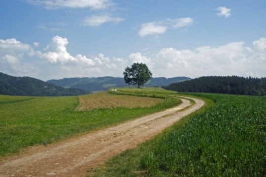 1e110f57bdfaf6398041a0f2c85962e8.jpg