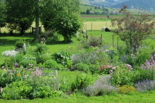 Vronis Garten.jpg